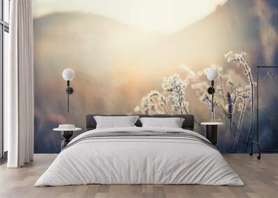 Autumn grass in the mountains at sunset. Beautiful autumn nature background Wall mural