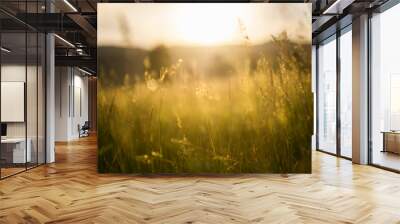 Green grass in a forest at sunset. Blurred summer nature background. Wall mural