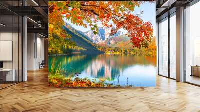 Yellow autumn trees on the shore of lake in Alps, Austria. Vorderer Langbathsee lake. Beautiful autumn landscape Wall mural