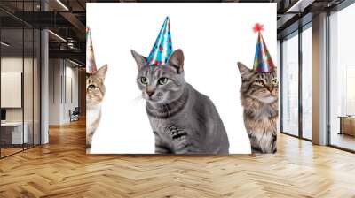 Cats birthday on the png background created with ai technology Wall mural