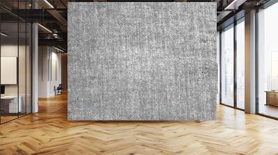 Denim vector texture. Wall mural