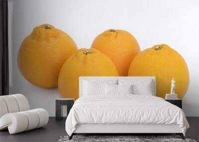 Four Oranges on white background Wall mural