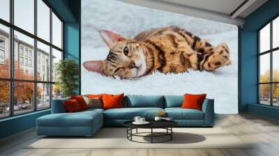 Bengal kitty cat laying on the white fury blanket Wall mural