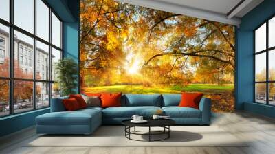 Beautiful large trees with colorful leaves in a park in autumn, with the sun shining through the foliage into the camera  Wall mural