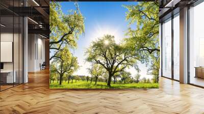 Beautiful panoramic green landscape in spring or summer, with trees in a row on a meadow and the sun shining bright in the clear blue sky Wall mural