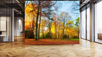 Colorful autumn scenery in a park Wall mural