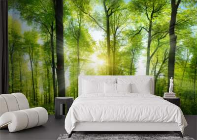 Extra wide panorama of an amazing scenic forest with fresh green beech trees and the sun casting its rays of light through the foliage  Wall mural