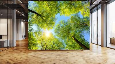 Green treetops, the sun and blue sky Wall mural