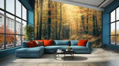 Harmonic autumn scenery in a colorful beech forest, with a footpath and a beam of soft light in tranquil misty atmosphere Wall mural