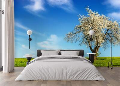 Lone tree with spring blossoms on a flat green meadow, with a beautiful blue sky and clouds in the background Wall mural