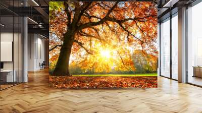 Majestic oak tree at autumn sunset Wall mural