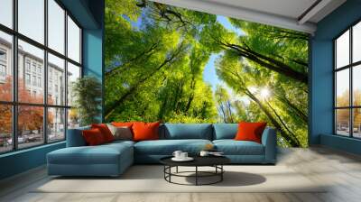 Majestic upwards view to the treetops in a beech forest with fresh green foliage, sun rays and clear blue sky Wall mural