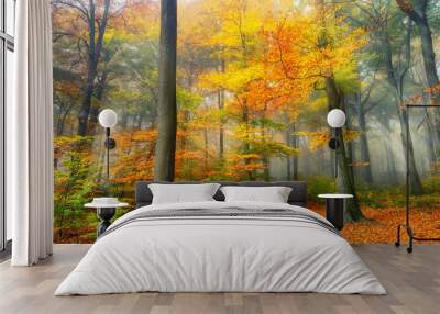 Misty forest in autumn, with beautiful warm colors and cool, soft light falling through the foliage into a clearing Wall mural