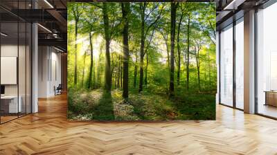 Panorama of a green forest of deciduous trees with the sun casting its rays of light through the foliage  Wall mural