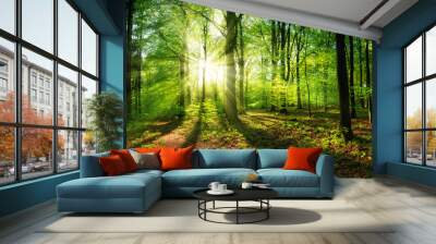 Panoramic landscape: beautiful rays of sunlight shining through the vibrant lush green foliage and creating a dynamic scenery of light and shadow in a forest clearing Wall mural