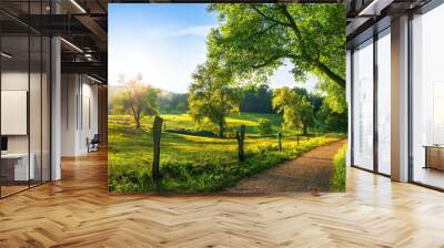 Rural landscape with a path, trees and meadows on hills, blue sky and pleasant warm sunshine from the low sun Wall mural