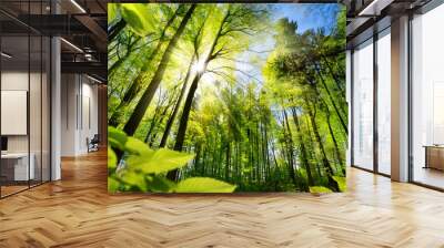 scenic forest of fresh green deciduous trees framed by leaves, with the sun casting its warm rays th Wall mural