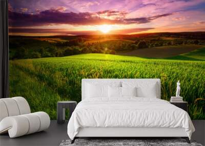 Sunset scenery on a green field with forests and hills on the horizon and the sky painted in gorgeous dramatic and emotional colors Wall mural