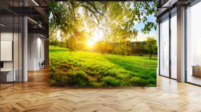 Sunset view from under a tree on a green meadow with hills on the horizon Wall mural