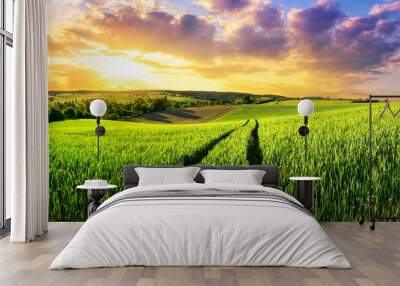 Vast green field at gorgeous sunset, a colorful panoramic landscape Wall mural