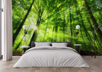 Vibrant panoramic scenery of illuminated foliage in a lush green forest, with vibrant colors and rays of sunlight  Wall mural