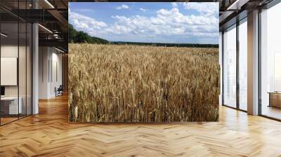 Wheat field in Burgundy's countryside, France - July 2019 Wall mural