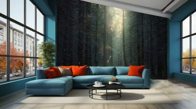 sunlight into the dark forest Wall mural