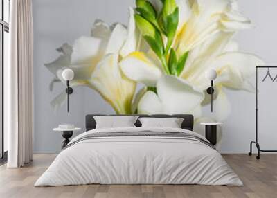 the branch of white freesia with flowers and buds on a gray back Wall mural