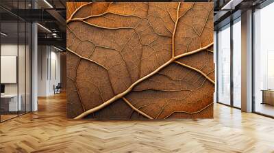 Close-up of a withered leaf. Wall mural