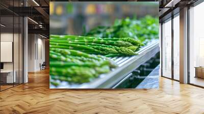 Fresh Asparagus on Conveyor Belt in Vegetable Processing Plant Wall mural