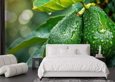 Two Ripe Avocados on Tree With Water Droplets Wall mural