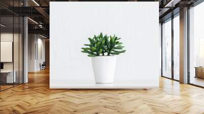 Artificial succulent plant Wall mural