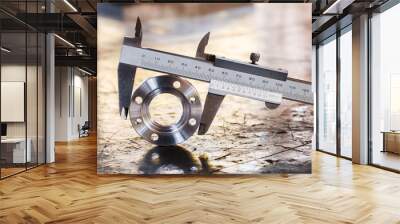 vernier caliper measurement Wall mural