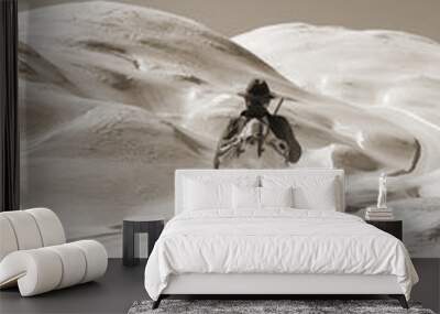 Black and white photos, Sepia Vintage skier Wall mural