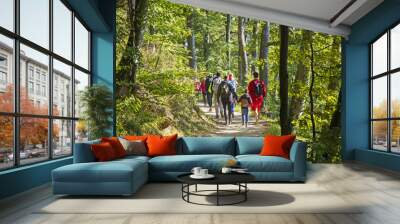 Group of people walking by hiking trail in forest Wall mural