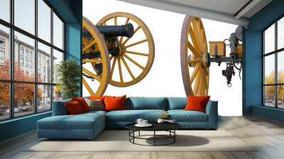 Replica  of Cannon, museum piece, antique arms Wall mural