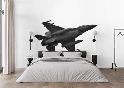 military jet fighter f-16 Wall mural