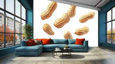 Falling peanut isolated on white background, full depth of field Wall mural