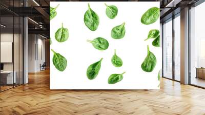 Falling Spinach isolated on white background, full depth of field Wall mural