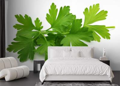 green leaves of parsley isolated on white background Wall mural