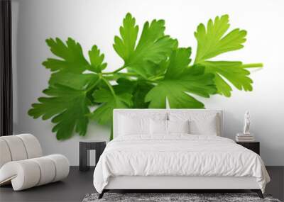 green leaves of parsley isolated on white background Wall mural