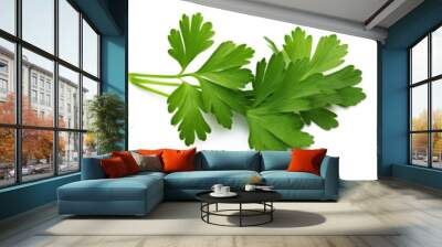 green leaves of parsley isolated on white background Wall mural