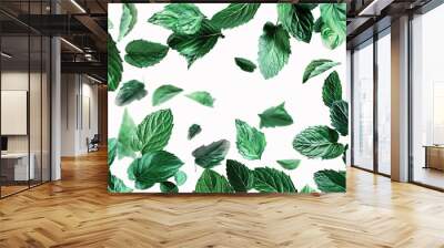 Bunch of Green Mint Leaves with Water Drops Wall mural