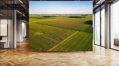 Aerial view of Soy bean fields in Michigan countryside Wall mural