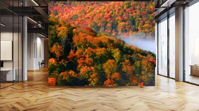 Allegheny forest Wall mural