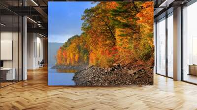 allegheny national forest Wall mural