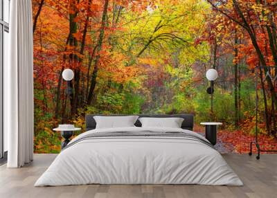 beautiful albeautiful alley in colorful autumn timeley in colorful autumn time Wall mural