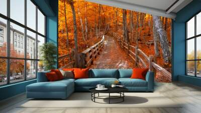 Bright autumn trees along boardwalk in late autumn in Michigan upper peninsula Wall mural