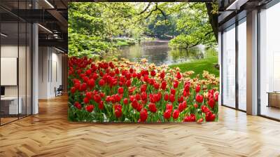 Panoramic view of Scenic Keukenhof gardens in the Netherlands. Wall mural