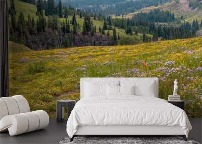 Panoramic view of scenic wildflower meadow in Colorado rocky mountains. Wall mural